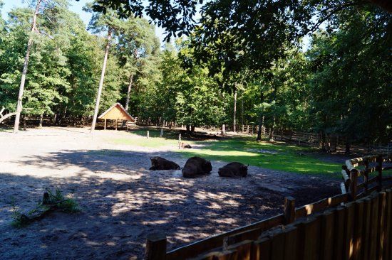 Bałtycki Park Miniatur